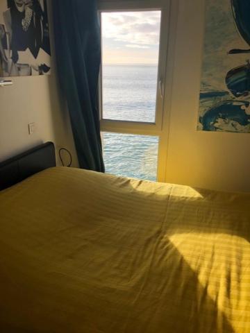 Appartement Cosy Les Pieds Dans L'Eau, Vue Mer Exceptionnelle Crozon Exterior photo