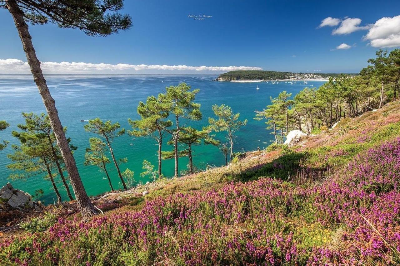 Appartement Cosy Les Pieds Dans L'Eau, Vue Mer Exceptionnelle Crozon Exterior photo
